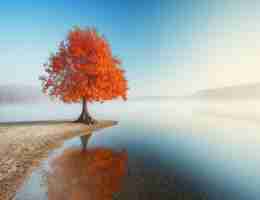 网‌站﻿收‍录﻿平‍台​d82华﻿网​优‌站﻿网‍